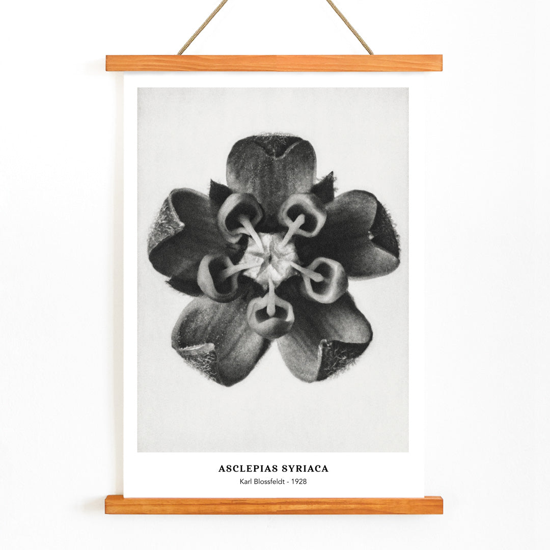 , with wooden magnetic frame on white background