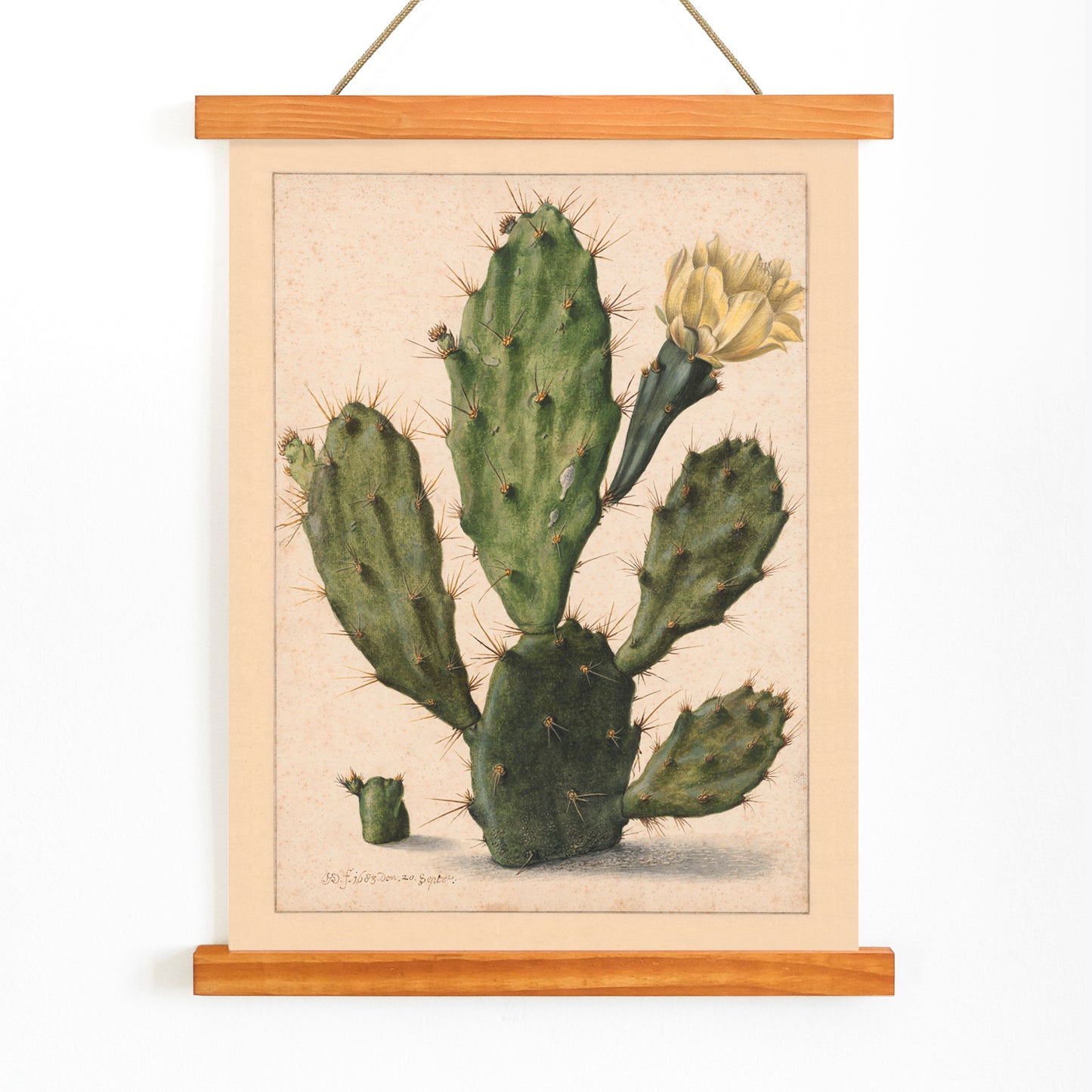 Pear Cactus in Bloom by Herman Saftleven botanical illustration and poster featuring a green cactus with a yellow flower on a neutral background, with wooden magnetic frame on white background