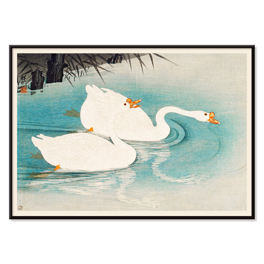 White geese swimming among blue water and reeds Geese amid Reeds by Ohara Koson poster, with black aluminium frame on white background
