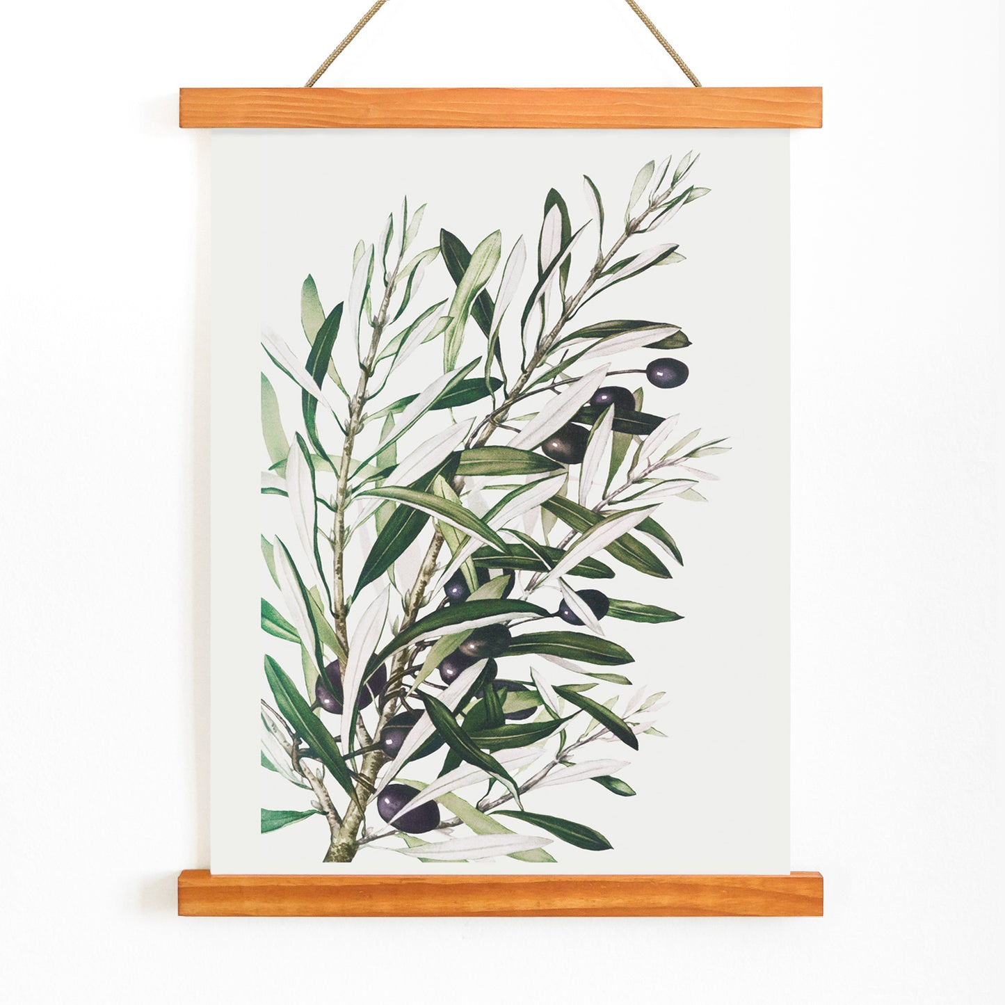 Olive branches botanical illustration and poster with green leaves and black olives by L Prang and Co from Picture Collection wall decor, with wooden magnetic frame on white background