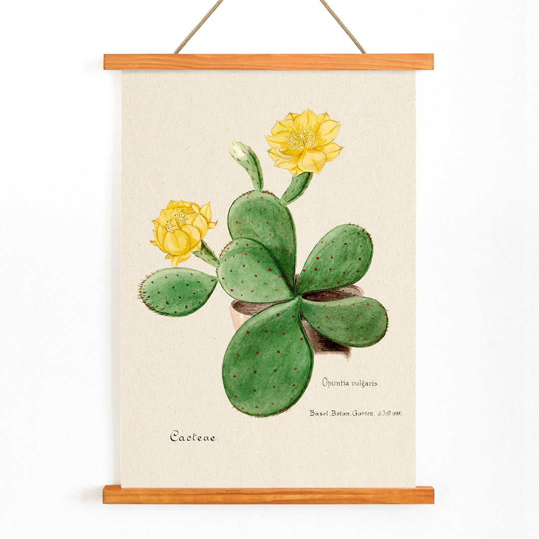 , with wooden magnetic frame on white background