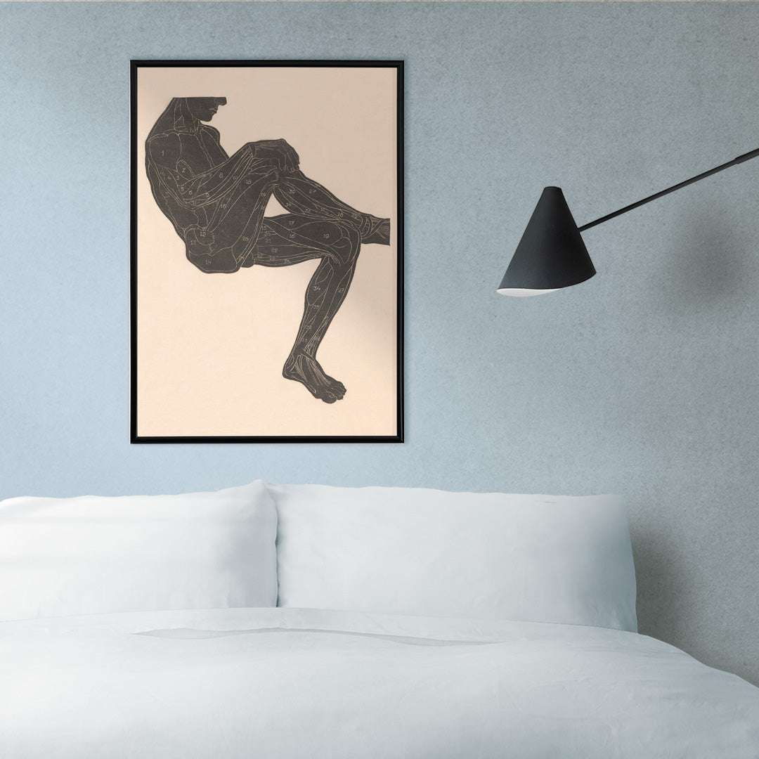 Anatomical illustration of human leg muscles in a seated figure poster by Reijer Stolk, framed and displayed in home decor