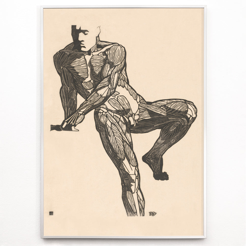 Closeup detail of Detailed anatomical drawing of human chest muscles by Reijer Stolk showing a seated male figure poster artwork