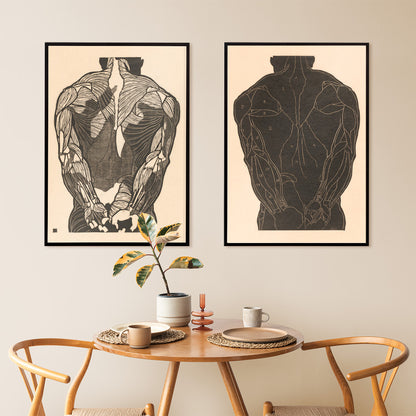 Detailed anatomical illustration of human back muscles artwork titled Back Muscles by Reijer Stolk with intricate linework, framed and displayed in home decor