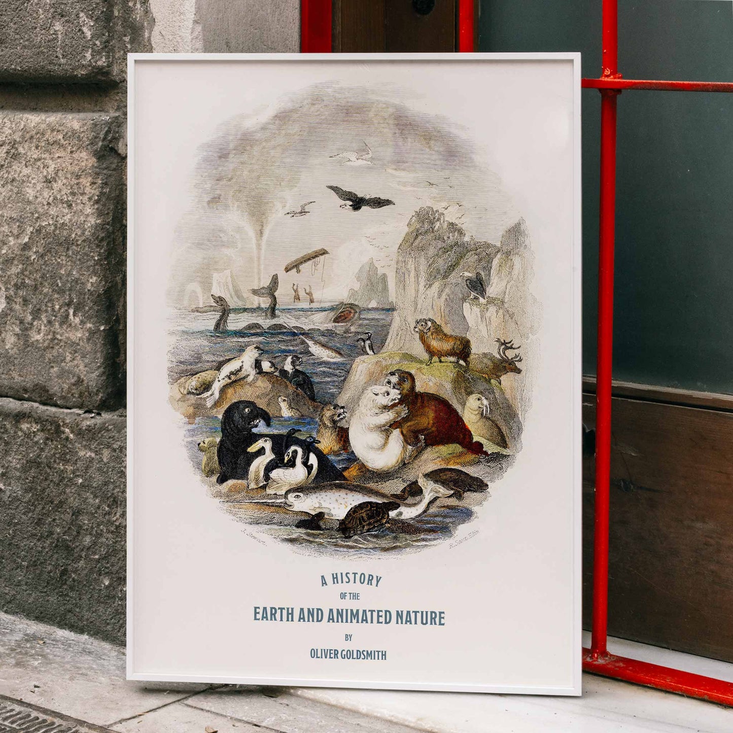 Hand drawn illustration and poster of animals in natural landscape from A history of the earth and animated nature by Oliver Goldsmith featuring sea and land creatures, framed and displayed in home decor