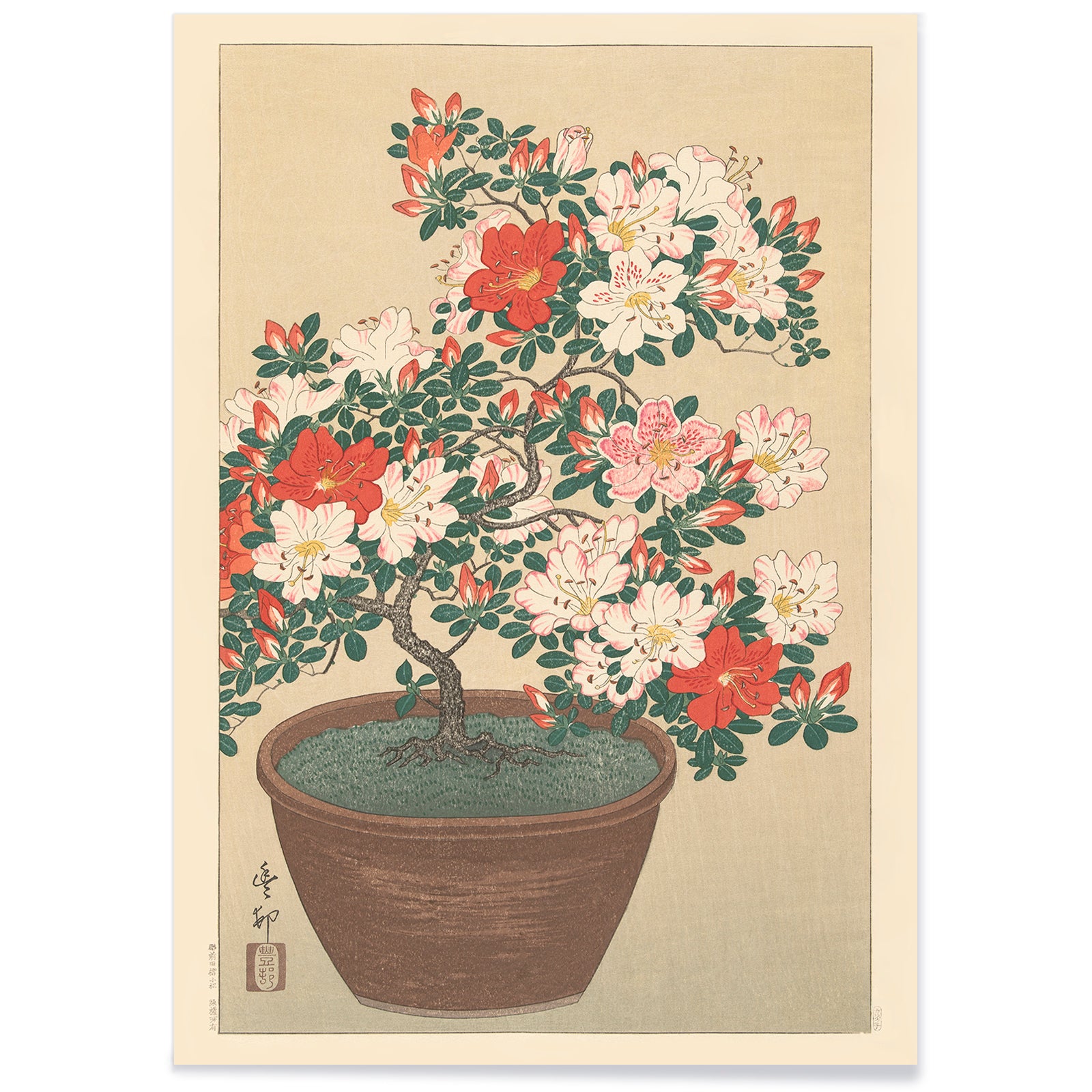 Potted azalea in bloom with red and white flowers botanical artwork Flowering azalea by Ohara Koson poster, with black aluminium frame on white background