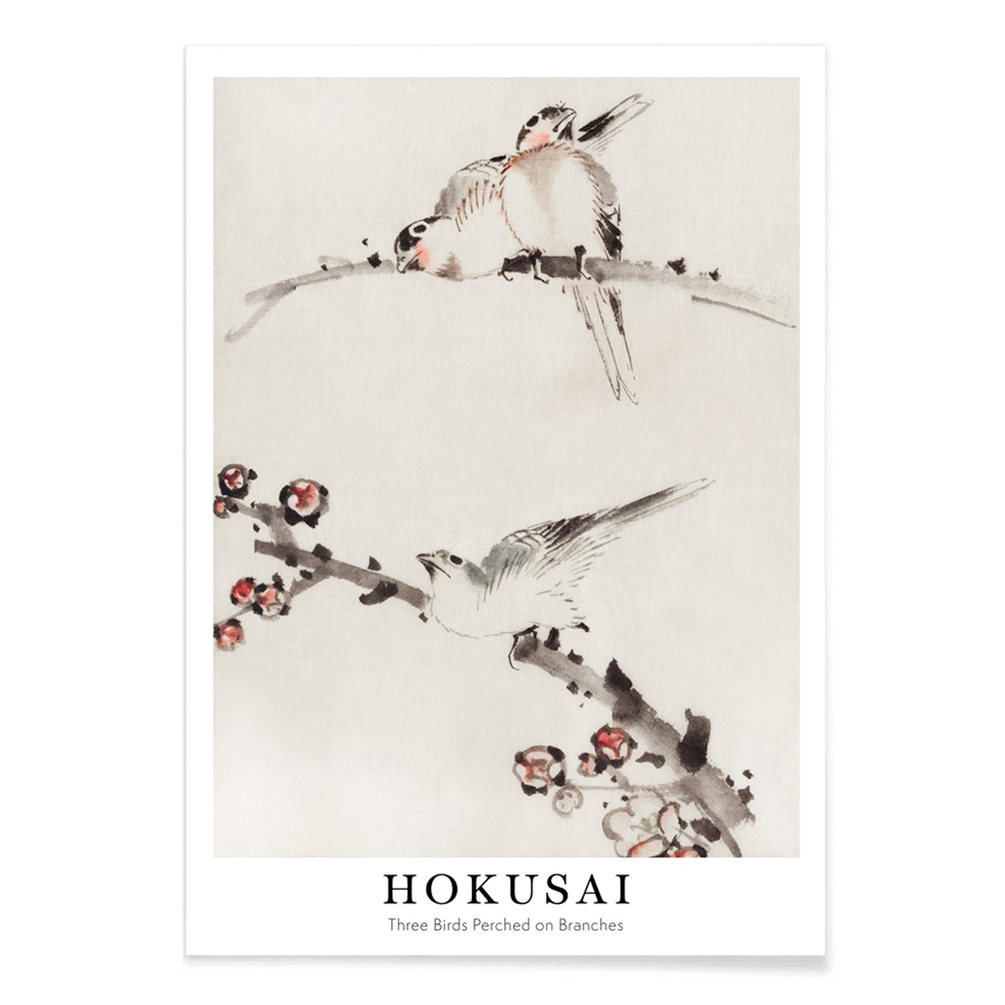 Three birds perched on branches with blossoms watercolor painting and poster artwork by Katsushika Hokusai, with black aluminium frame on white background