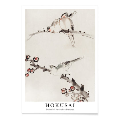 Three birds perched on branches with blossoms watercolor painting and poster artwork by Katsushika Hokusai, with black aluminium frame on white background