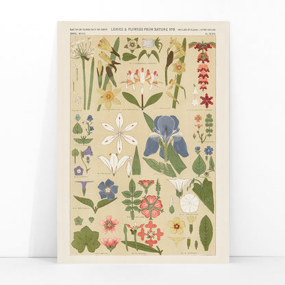 Botanical illustration poster of colorful leaves and flowers by Owen Jones from Grammar of Ornament, framed and displayed in modern living room decor