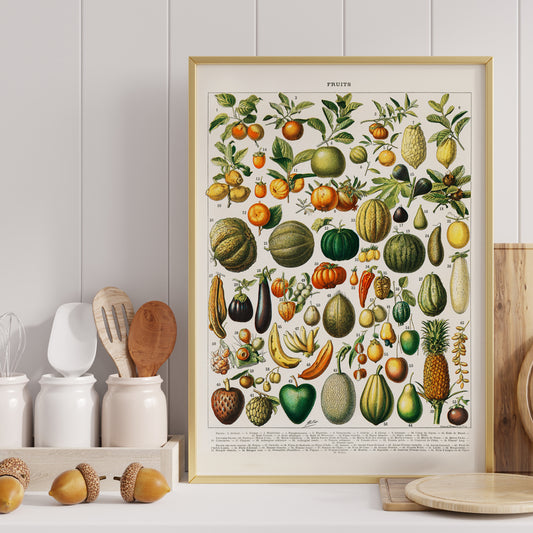 Vintage illustration poster of diverse fruits and vegetables from Nouveau Larousse Illustre by Larousse Pierre Auge Claude, framed and displayed in home decor