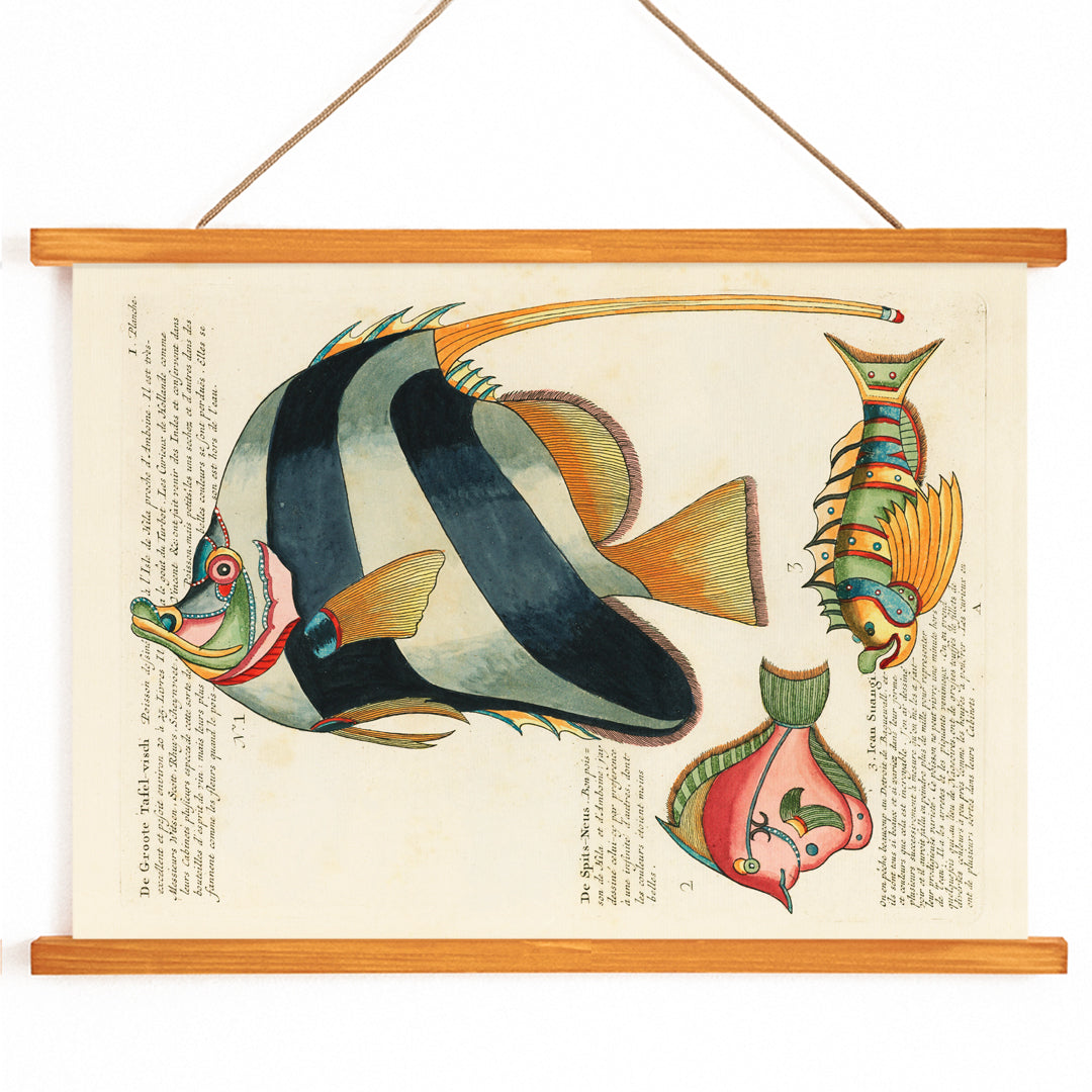 , with wooden magnetic frame on white background