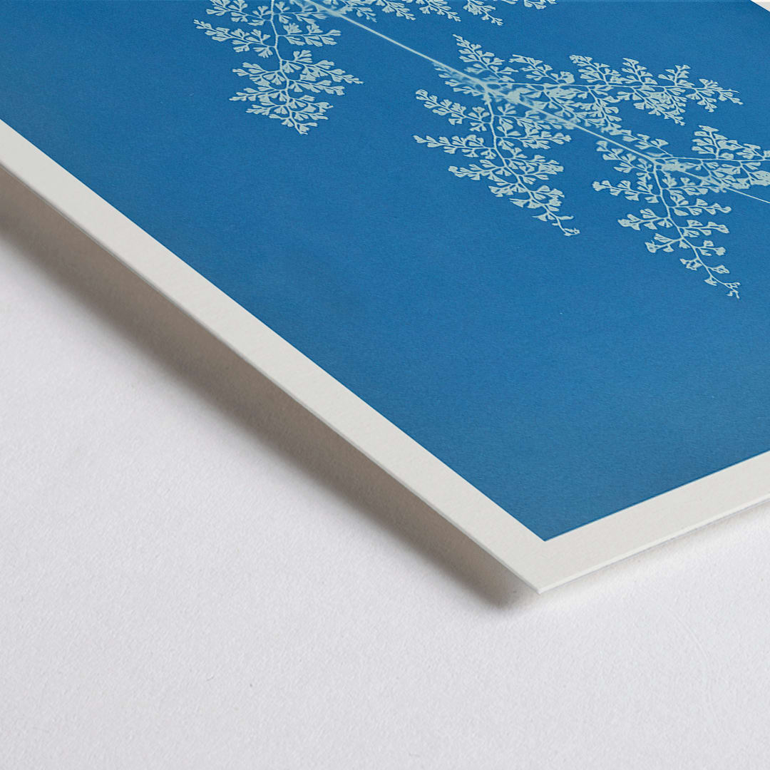 Closeup detail of Davallia aeuleata cyanotype artwork by Anna Atkins featuring a delicate botanical fern print on a blue background poster
