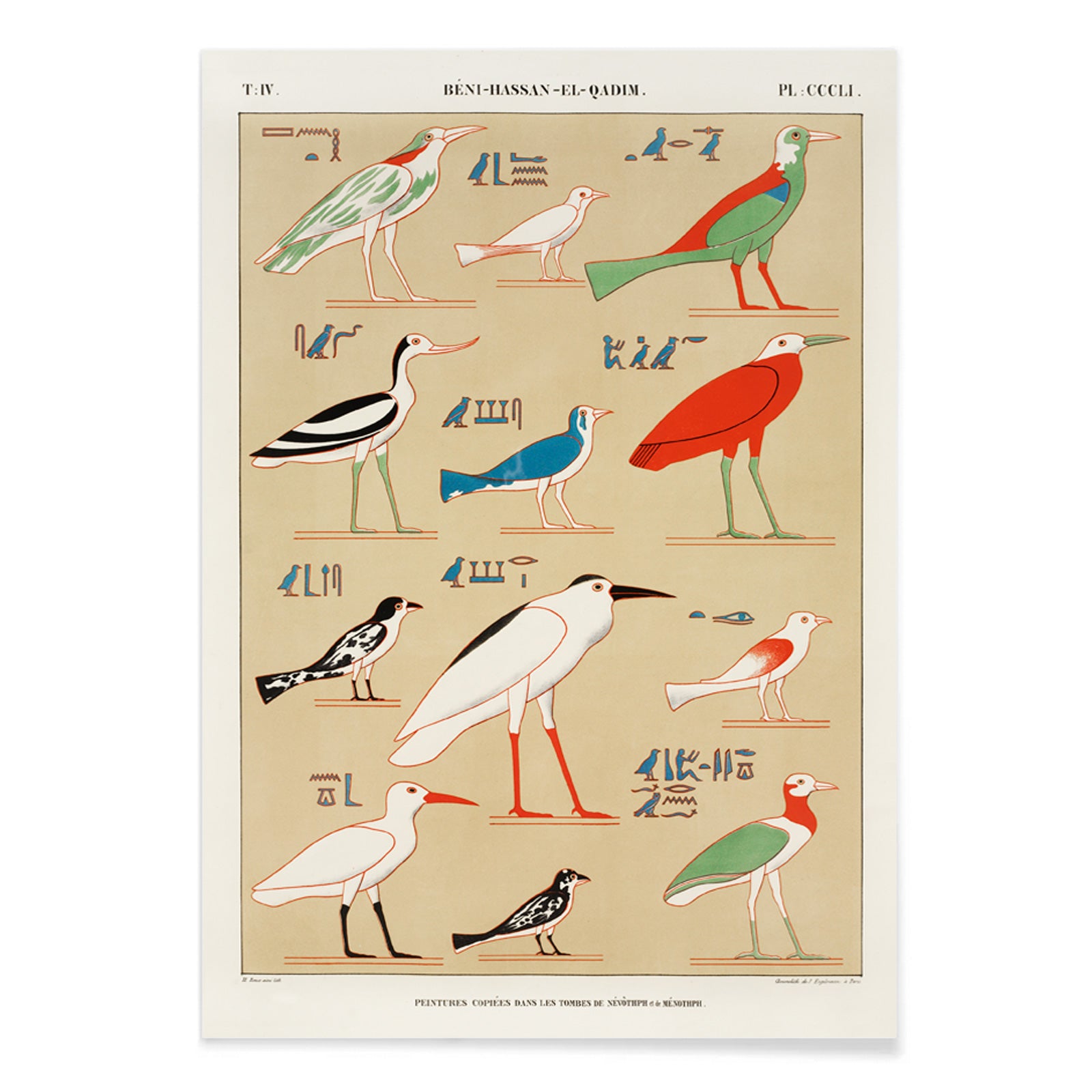 Colorful ancient Egyptian birds illustration poster inspired by paintings from the tombs of Nevoethph and Menothph by Jean Francois Champollion, with black aluminium frame on white background