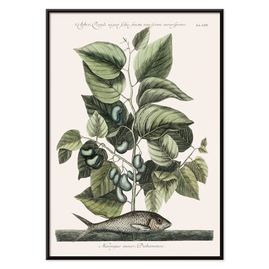 , with black aluminium frame on white background