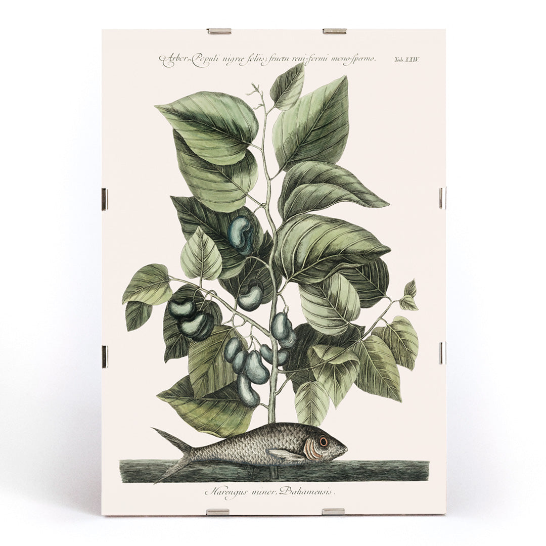 , framed and displayed in modern living room decor