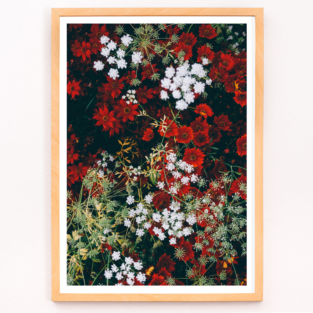 Closeup detail of Overhead shot of red and white flowers artwork poster
