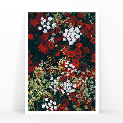 Overhead shot of red and white flowers artwork poster, framed and displayed in modern living room decor