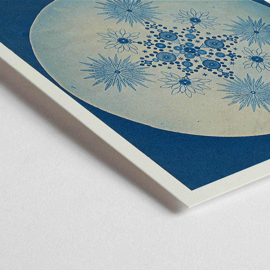 Closeup detail of Frustules of Diatoms cyanotype artwork and poster by Julius Wiesner featuring intricate blue diatom designs on a circular background