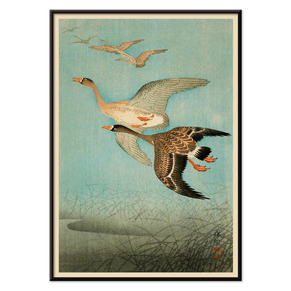 Flying Geese by Ohara Koson Japanese woodblock print poster with two geese flying over water and reeds artwork wall art print, with black aluminium frame on white background