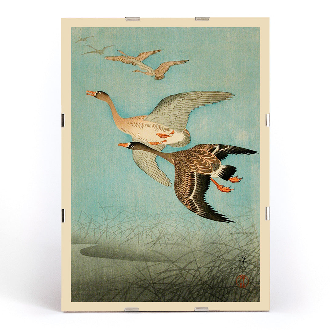 Flying Geese by Ohara Koson Japanese woodblock print poster with two geese flying over water and reeds artwork wall art print, framed and displayed in modern living room decor