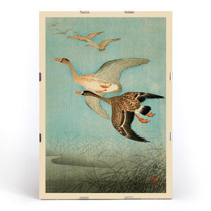 Flying Geese by Ohara Koson Japanese woodblock print poster with two geese flying over water and reeds artwork wall art print, framed and displayed in modern living room decor
