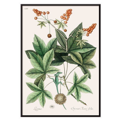 , with black aluminium frame on white background