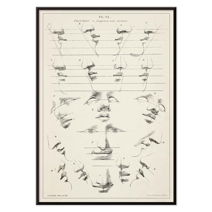 John Rubens Smith human figure drawing study poster with black and white facial feature sketches, with black aluminium frame on white background