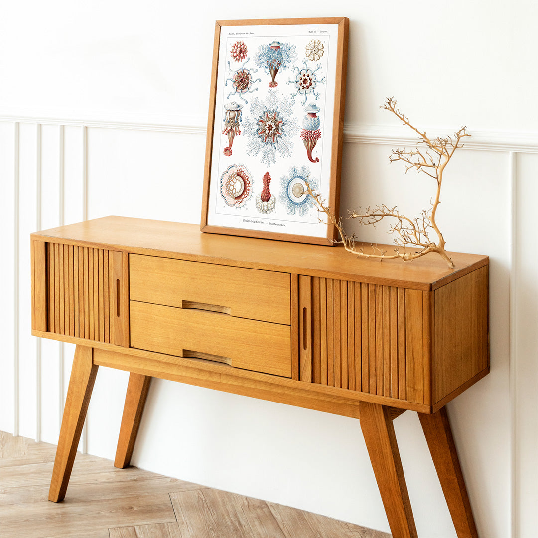 Colorful Siphonophorae jellyfish illustration by Ernst Haeckel scientific poster artwork, framed and displayed in home decor