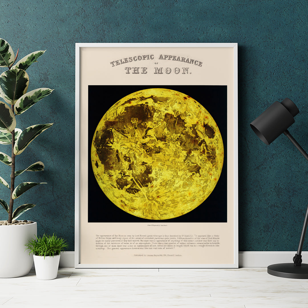 , framed and displayed in home decor