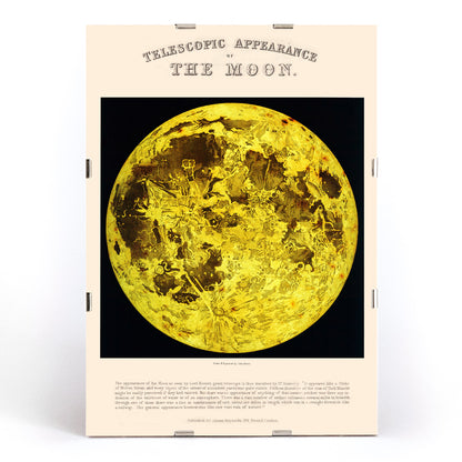 , framed and displayed in modern living room decor