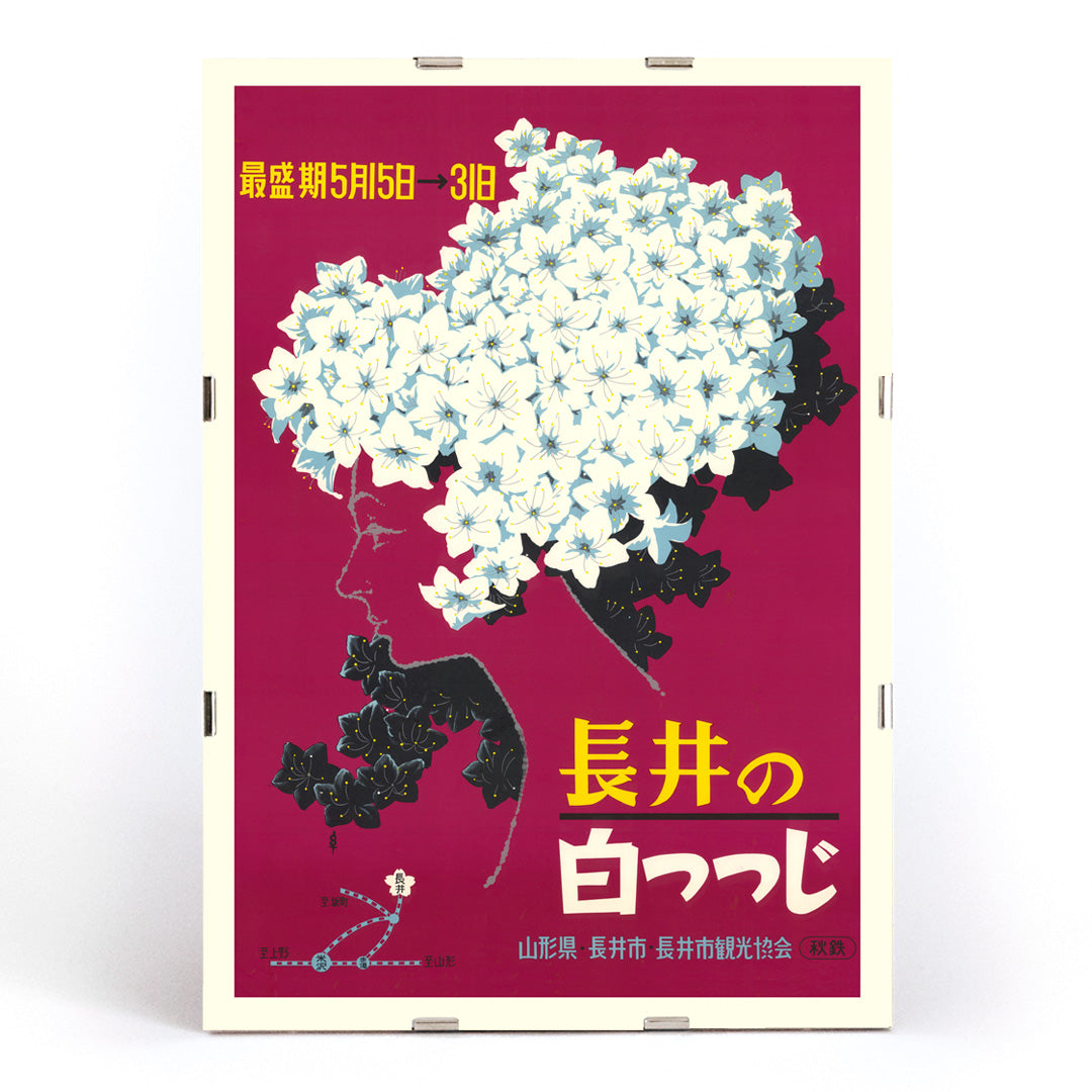 , framed and displayed in modern living room decor