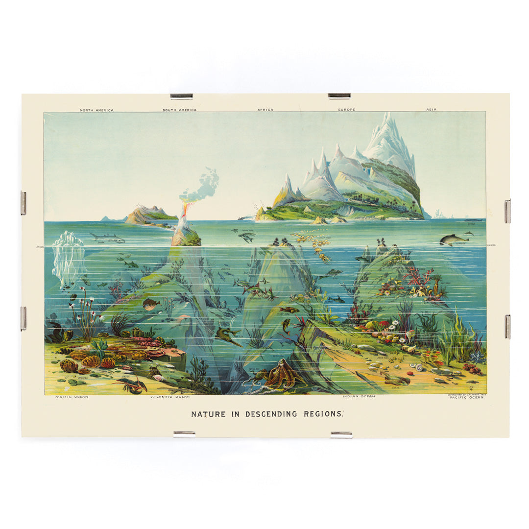 , framed and displayed in modern living room decor