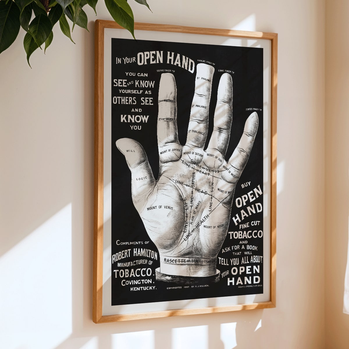 Palm reading diagram and detailed palm poster with labeled lines and mounts artwork titled Open hand by R J Millock and J Halleck, framed and displayed in home decor