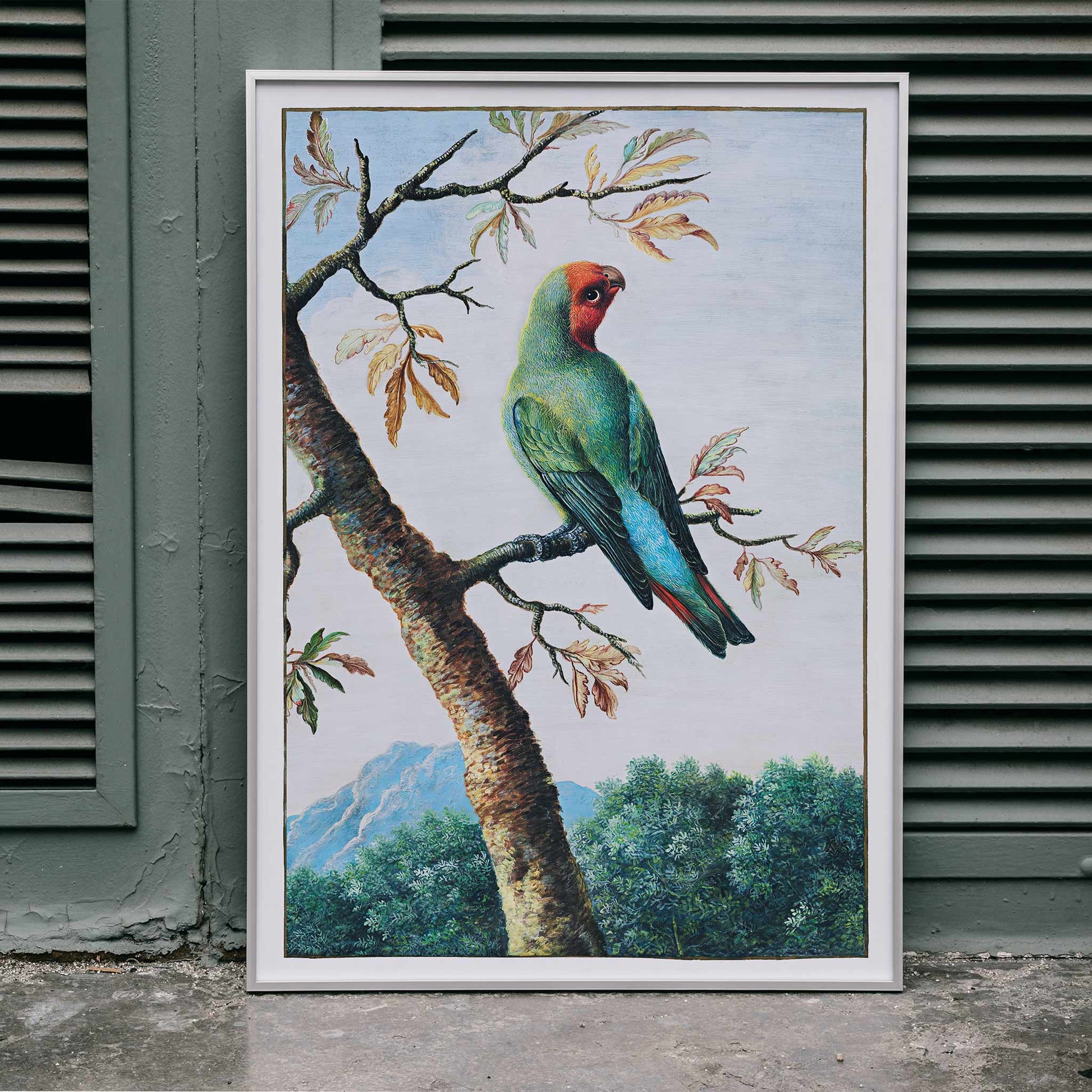Colorful parrot on a tree branch with mountain landscape Bird Study painting by George Edwards poster artwork, framed and displayed in modern living room decor