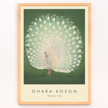 Closeup detail of Elegant white peacock with full plumage on green background artwork by Ohara Koson poster