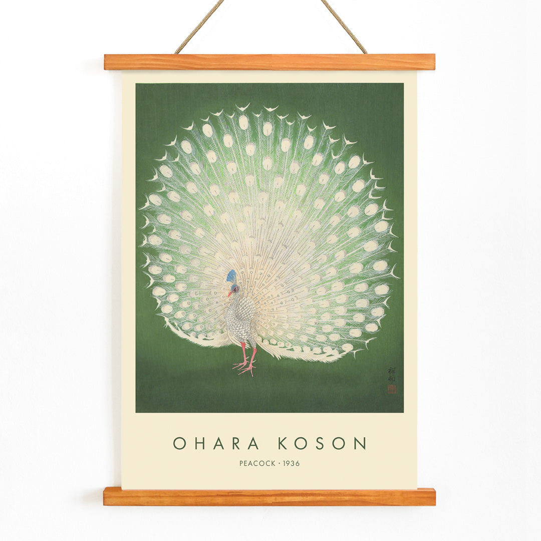 Elegant white peacock with full plumage on green background artwork by Ohara Koson poster, with wooden magnetic frame on white background