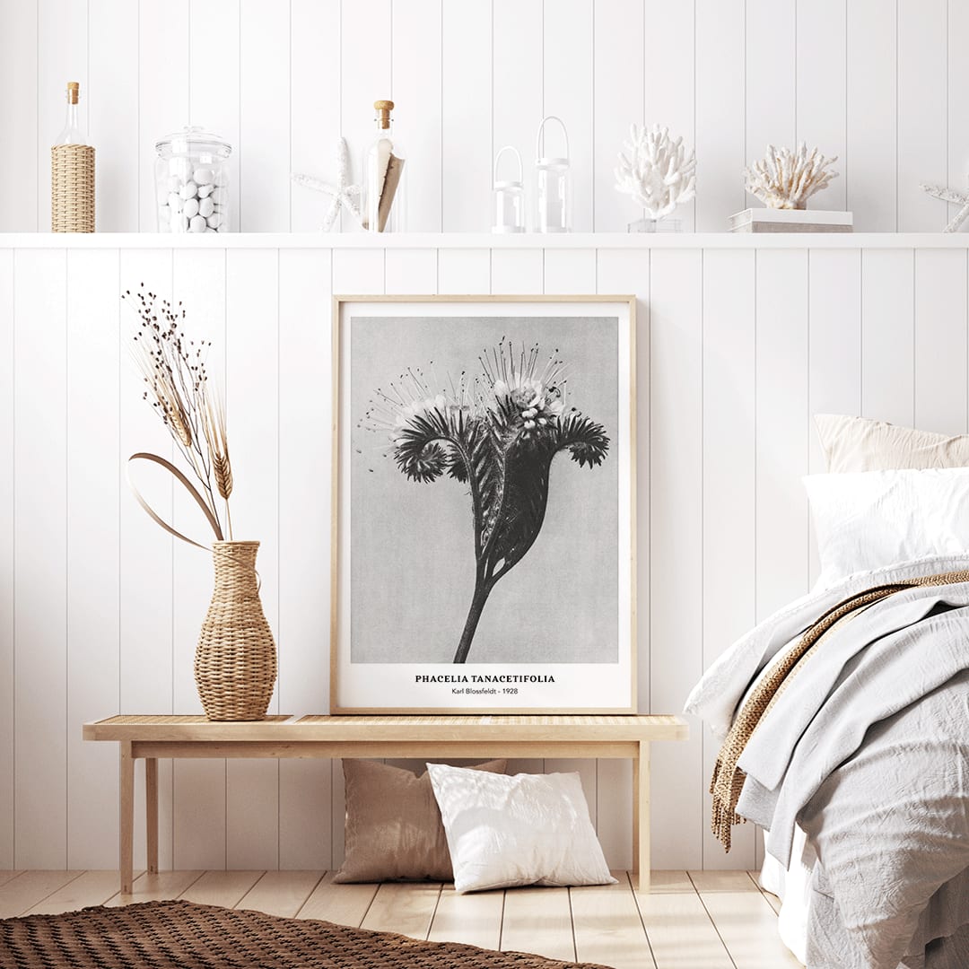 , framed and displayed in home decor