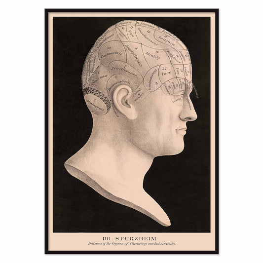 Dr. Spurzheim Divisions of the organs of phrenology poster labeled human head profile vintage black and white, with black aluminium frame on white background