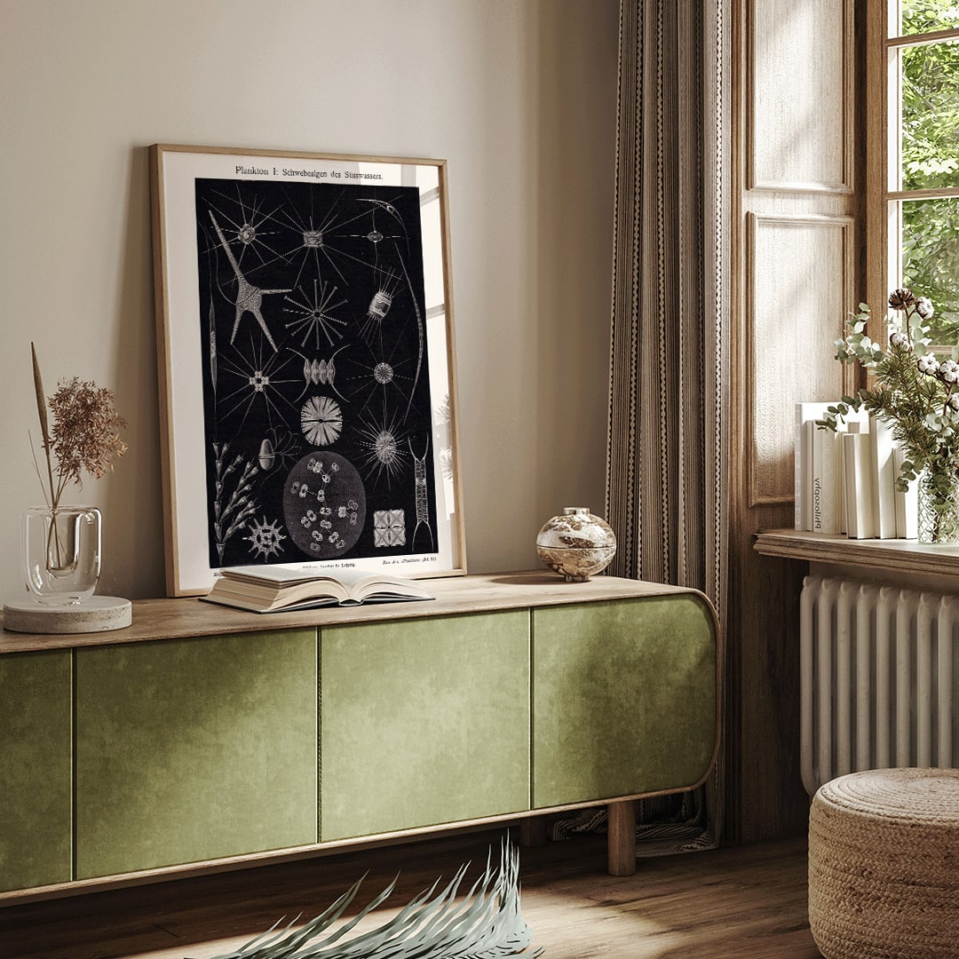 Detailed black and white illustration of freshwater plankton organisms scientific artwork Plankton II by The Institute of Liepzig poster, framed and displayed in home decor