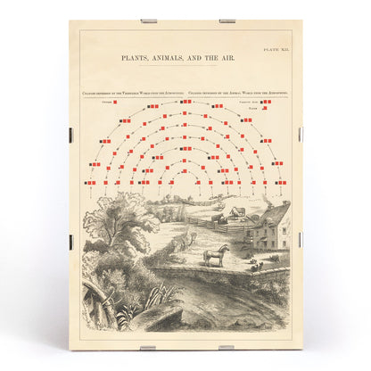 , framed and displayed in modern living room decor