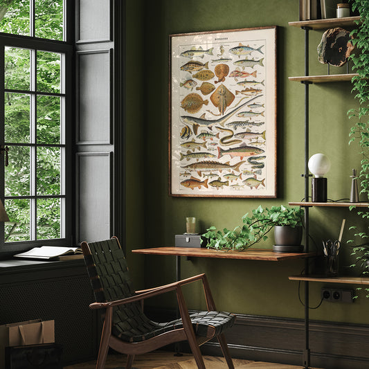 , framed and displayed in home decor