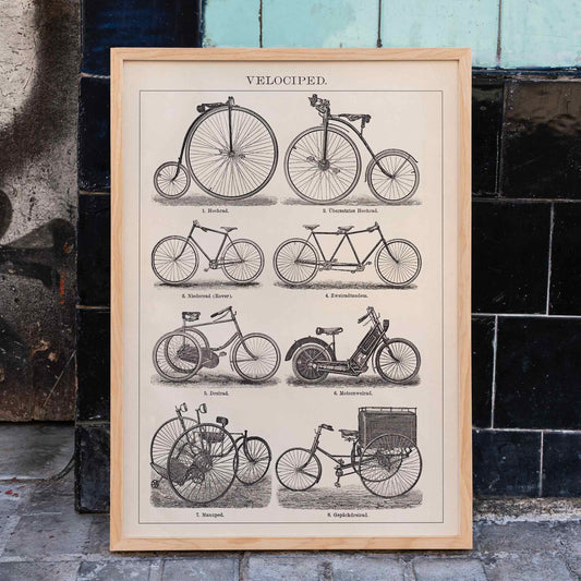 Vintage bicycle types and illustrations by Bibliographic institute of Liepzig Velociped with labeled bike types, framed and displayed in home decor