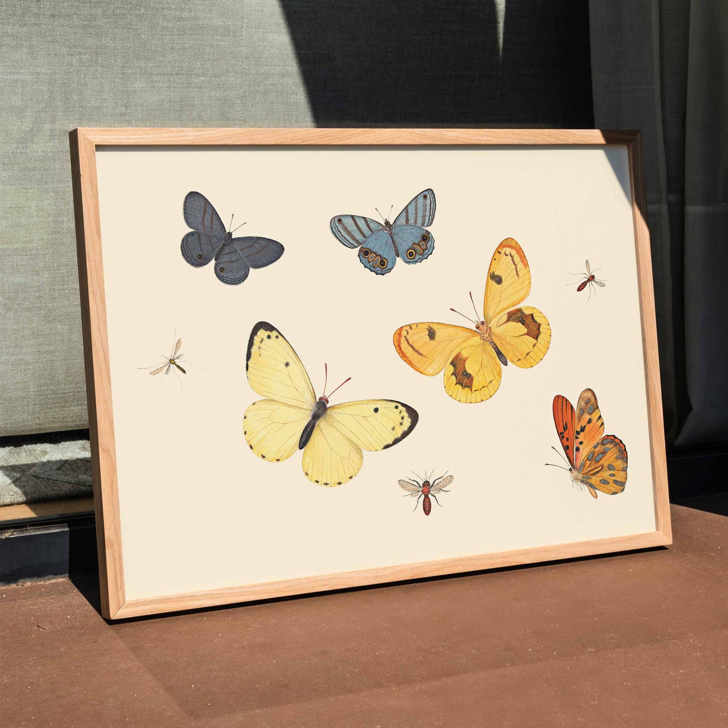 Illustration and poster of butterflies wasp and flies from Five Butterflies a Wasp and Two Flies by Pieter Withoos, framed and displayed in home decor