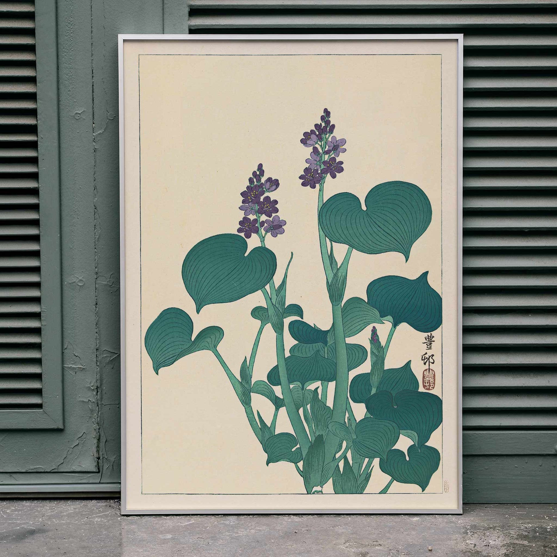 Botanical illustration and poster of green hosta plant with purple flowers by Ohara Koson in Japanese botanical art style, framed and displayed in home decor