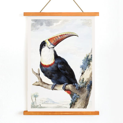 Red-billed Toucan perched on a branch in a landscape painting by Aert Schouman poster artwork, with wooden magnetic frame on white background