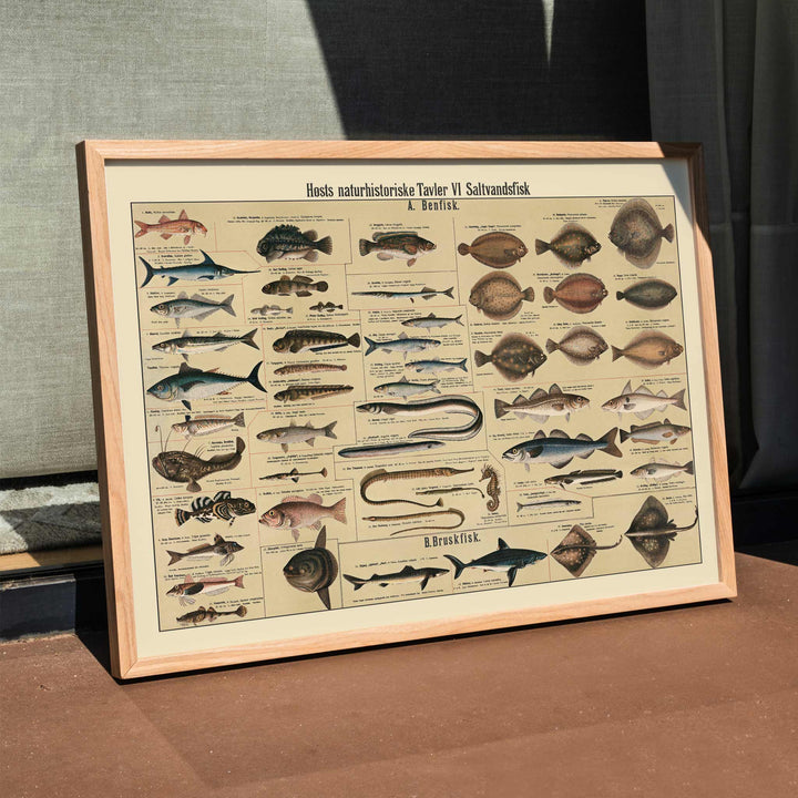 Dr. W. Raschke saltwater fish chart poster with detailed marine species in vintage scientific style and beige tones, framed and displayed in home decor