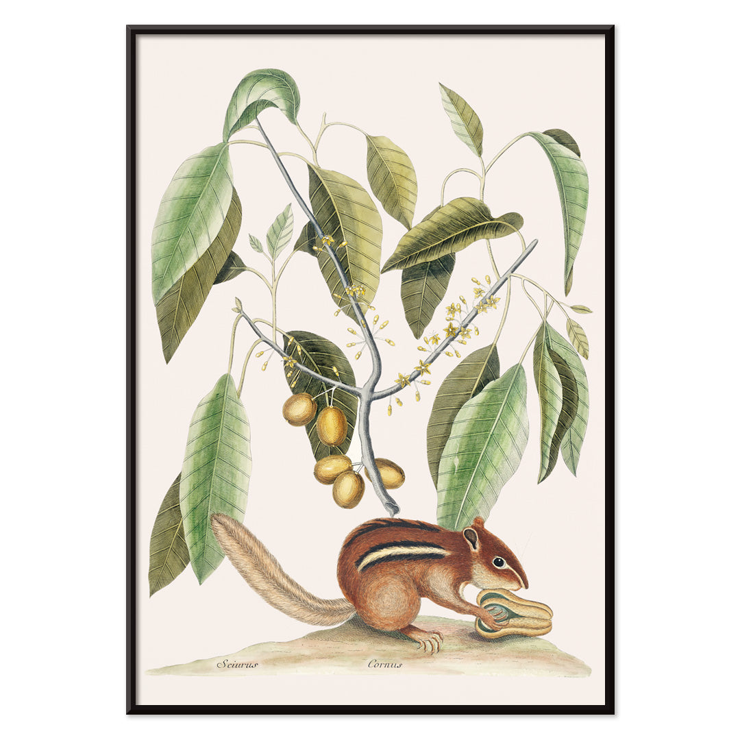 , with black aluminium frame on white background