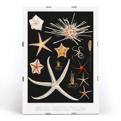 , framed and displayed in modern living room decor